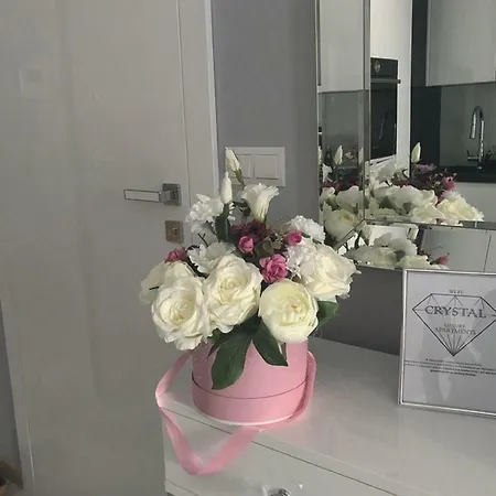 Crystal Luxury Rakowicka 22h *