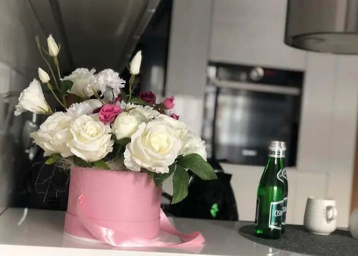 Crystal Luxury Rakowicka 22h Apartment Krakow